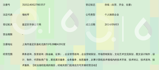 上海華略商務咨詢服務中心 以專業(yè)網站塑造高端商務形象