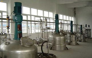 黃浦江源安吉白茶報(bào)價(jià) 廠家